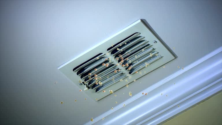 Best Emergency Air Duct Cleaning  in Port Byron, NY